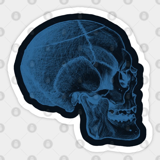 Side Skull Sketch - Blue/Dark Sticker by Designs by Kat